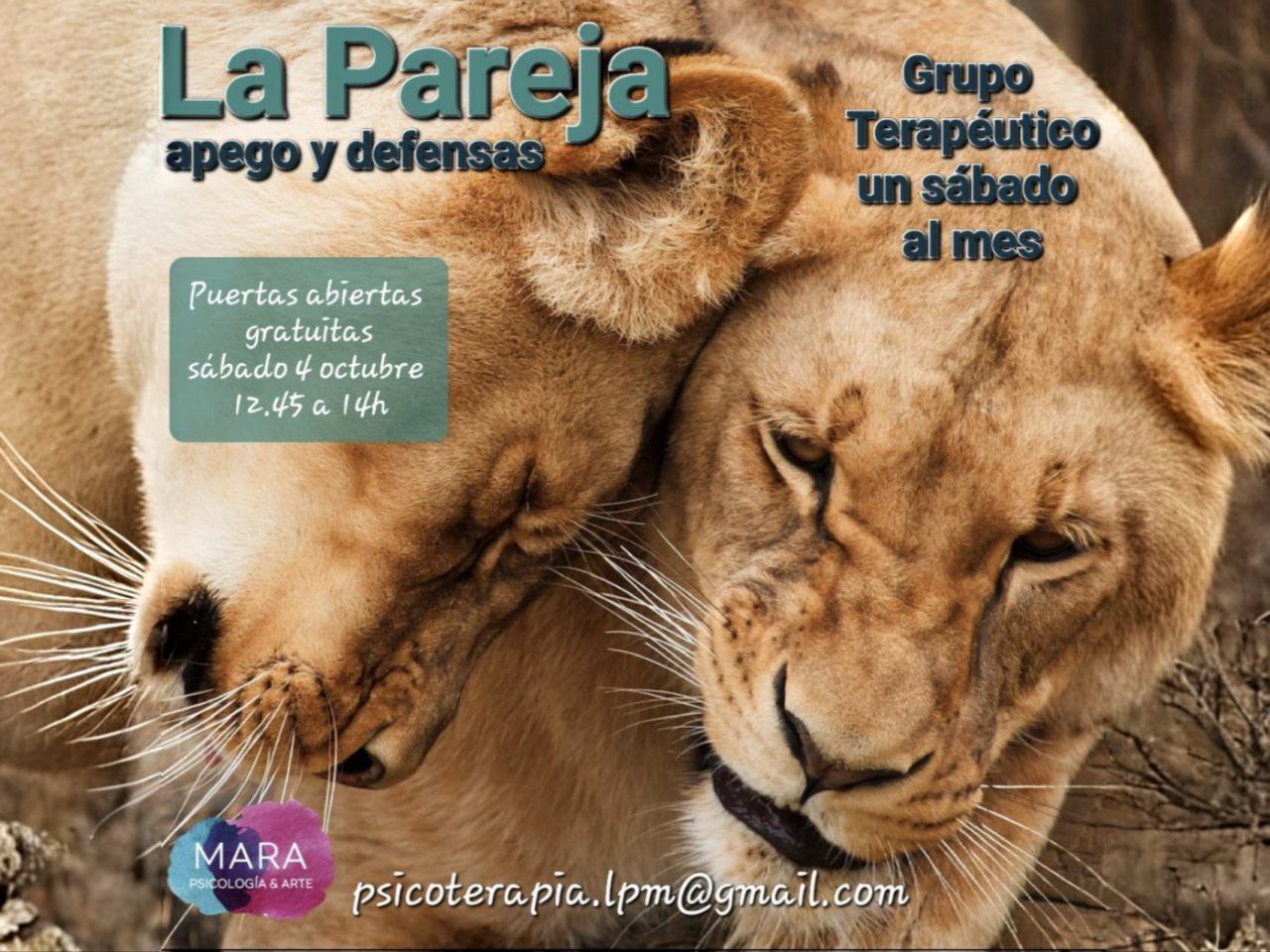 lo cura