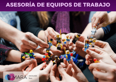 Asesoría de equipos de trabajo