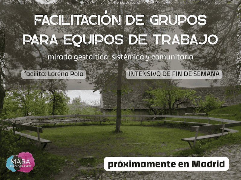 facilitación grupos Madrid lo cura